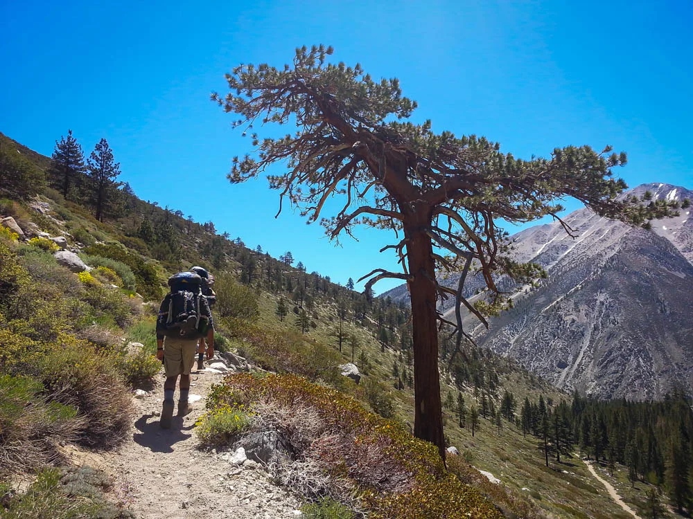 The continuous uphill climb