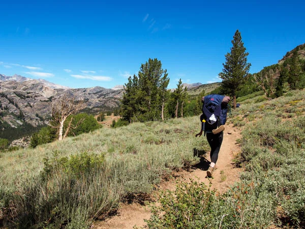 The PCT had great views and was relatively flat after the initial switchbacks
