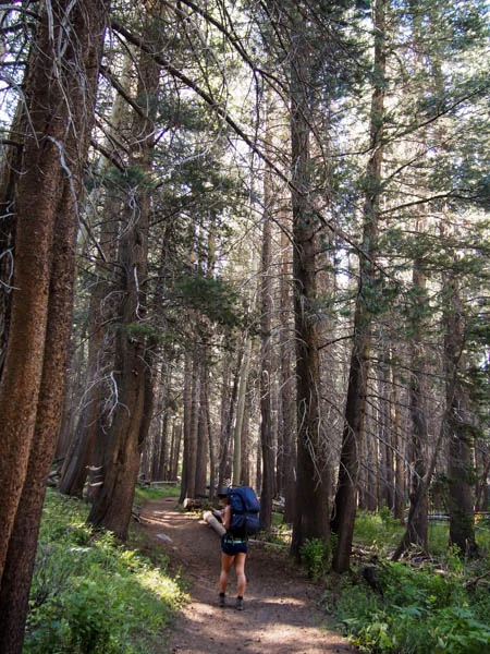 The relatively flat River Trail