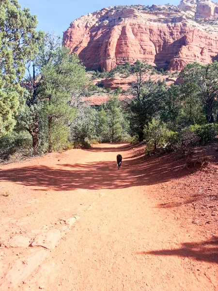 Hiking Devil's Bridge in Sedona