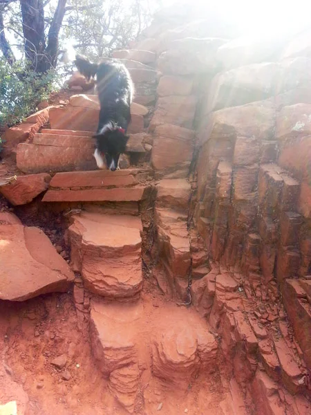 Macey nimbly making her way down the steep stairs