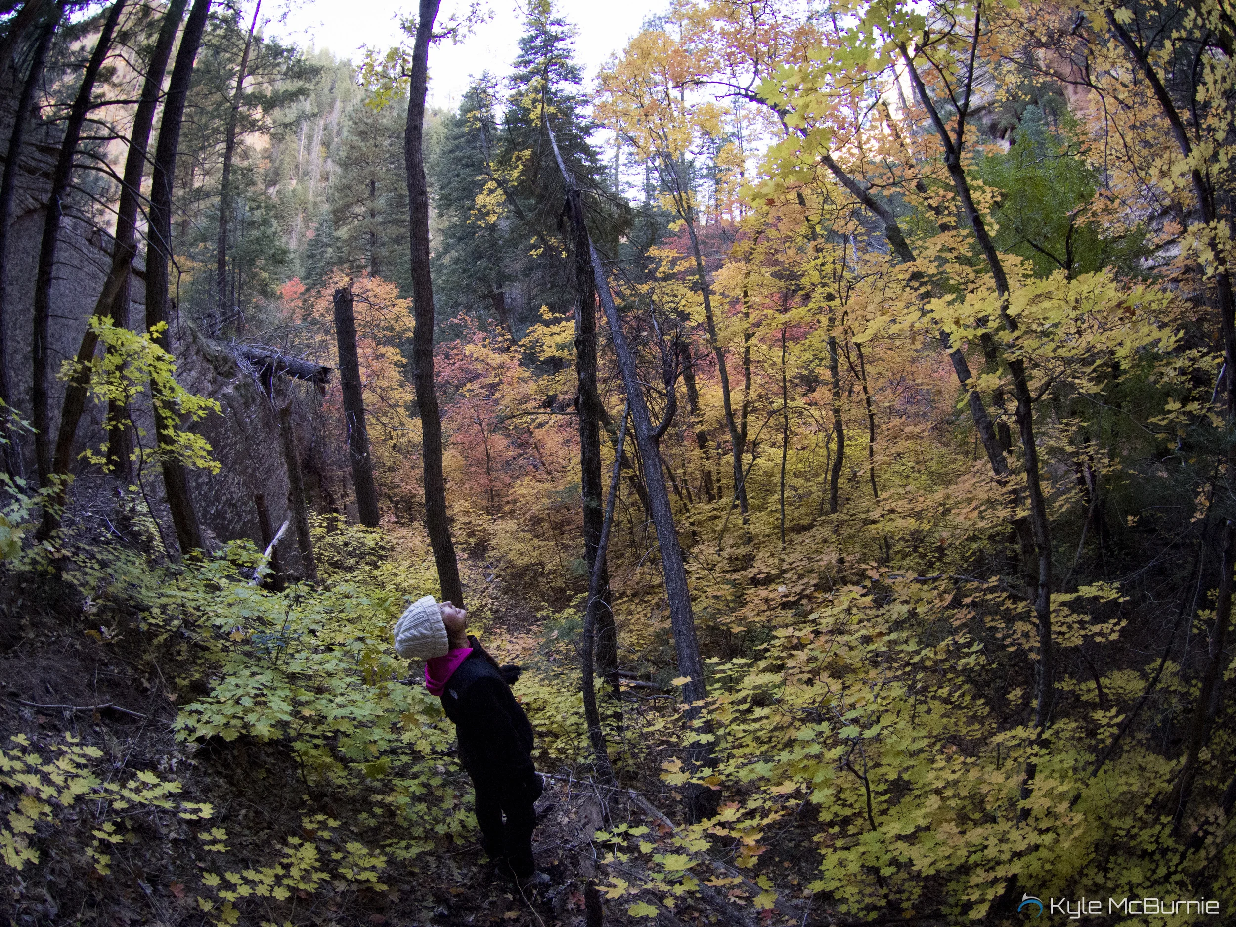 Backpacking West Fork Oak Creek — Sedona, AZ