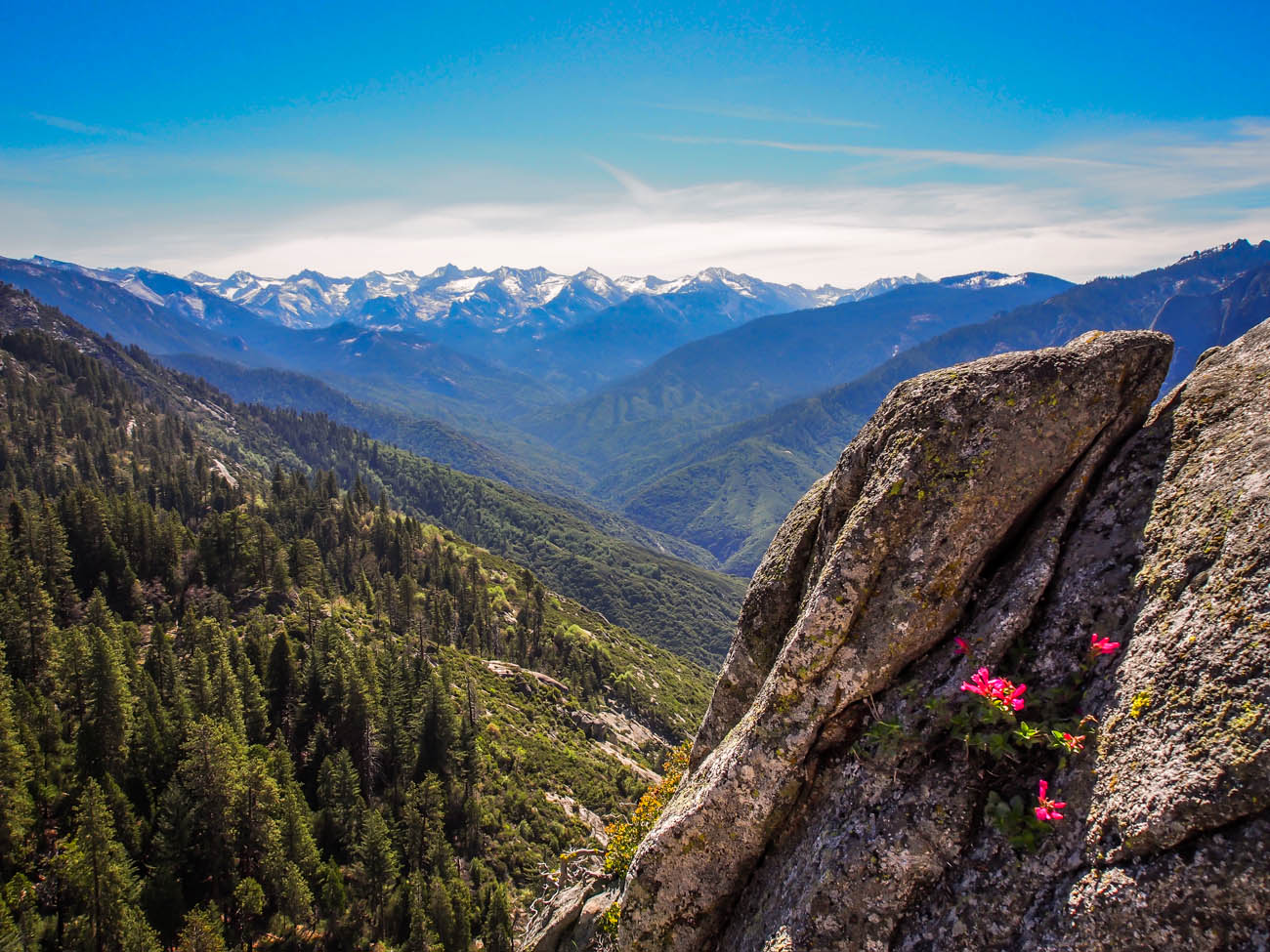 General Sherman Tree & Moro Rock - Sequoia Kings Canyon, CA