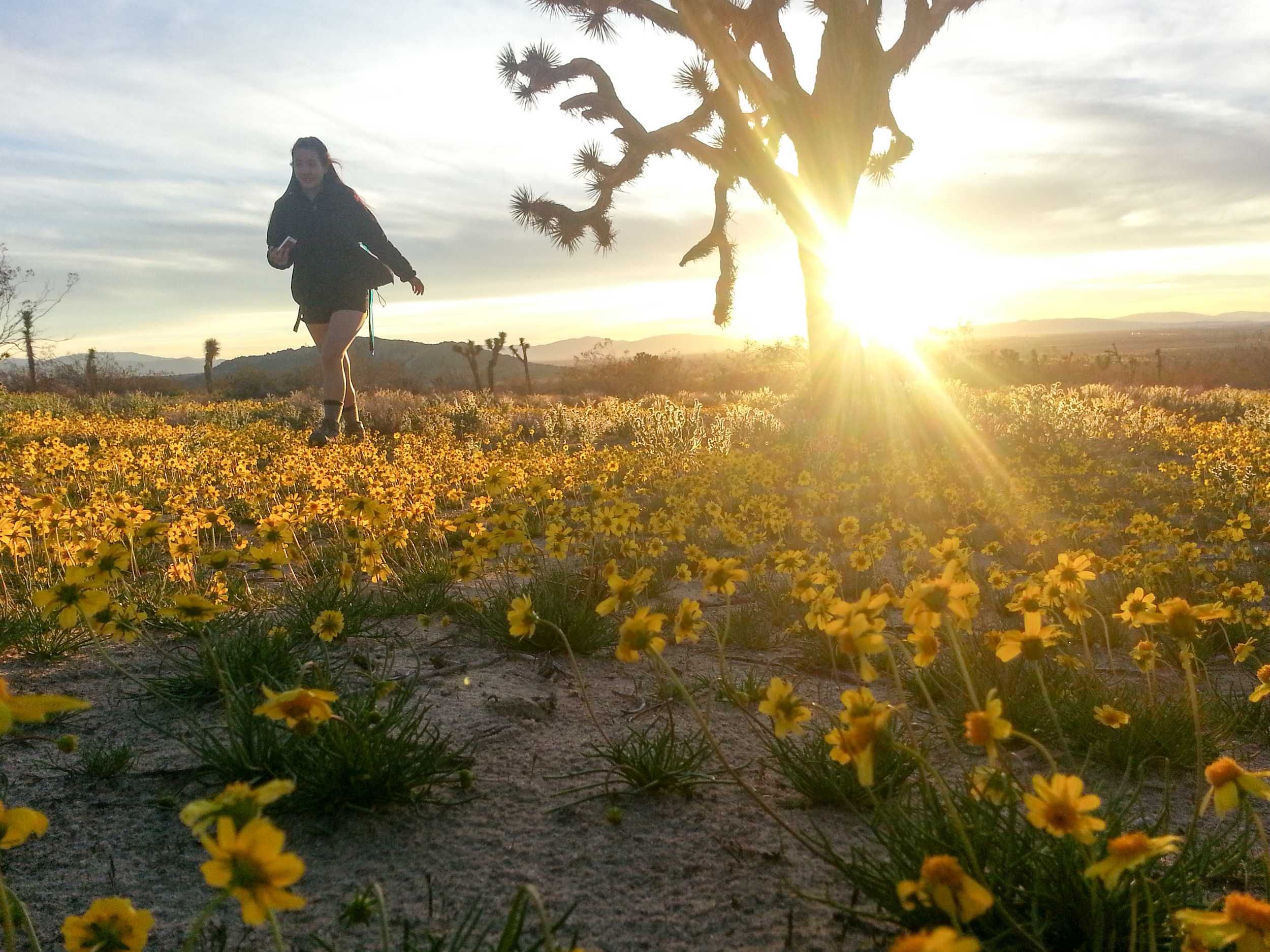 Saddleback Butte Peak Trail - Saddleback Butte SP, CA