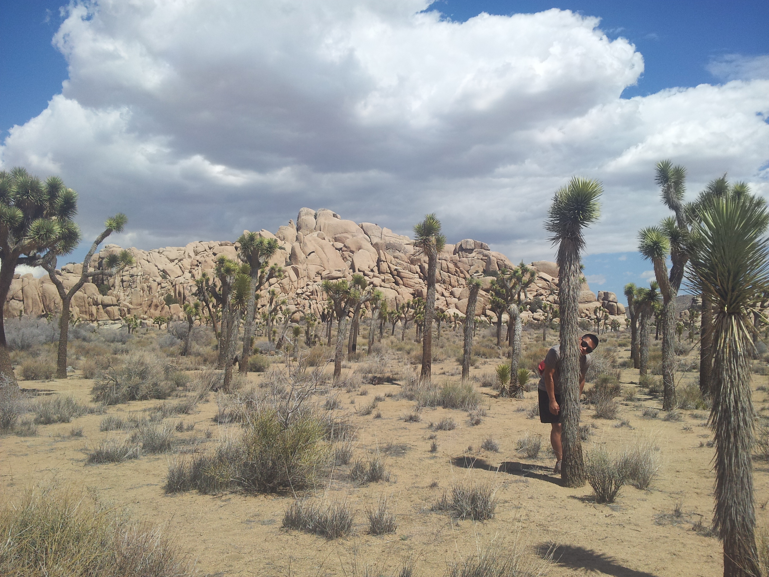 Hidden Valley - Joshua Tree NP, CA