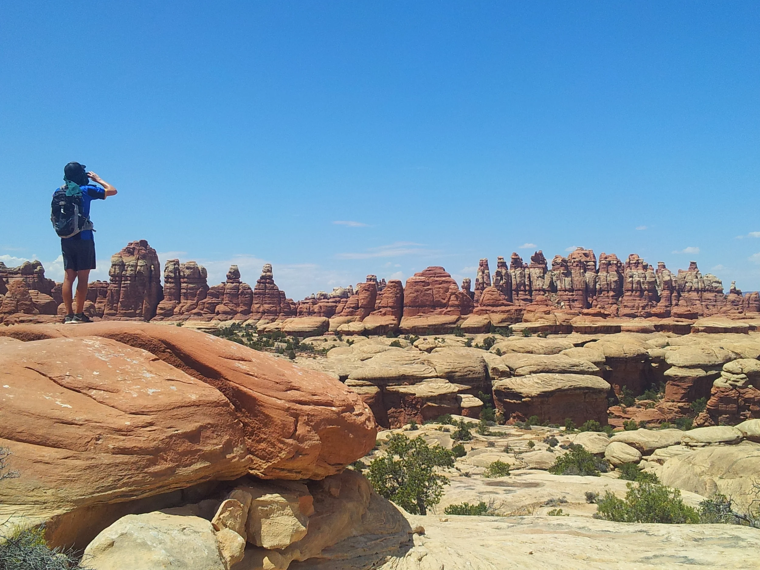 Chesler Park from Elephant Hill at Needles - Canyonlands NP, UT