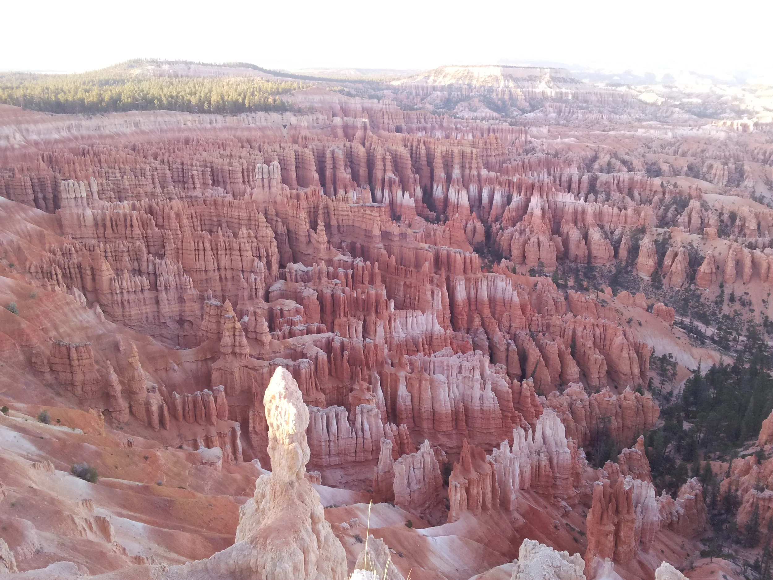 Navajo Loop, Peekaboo Loop, and Queens Garden - Bryce Canyon NP, UT