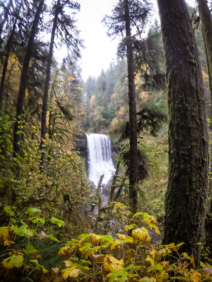 Middle North Falls (106 ft) from a distance