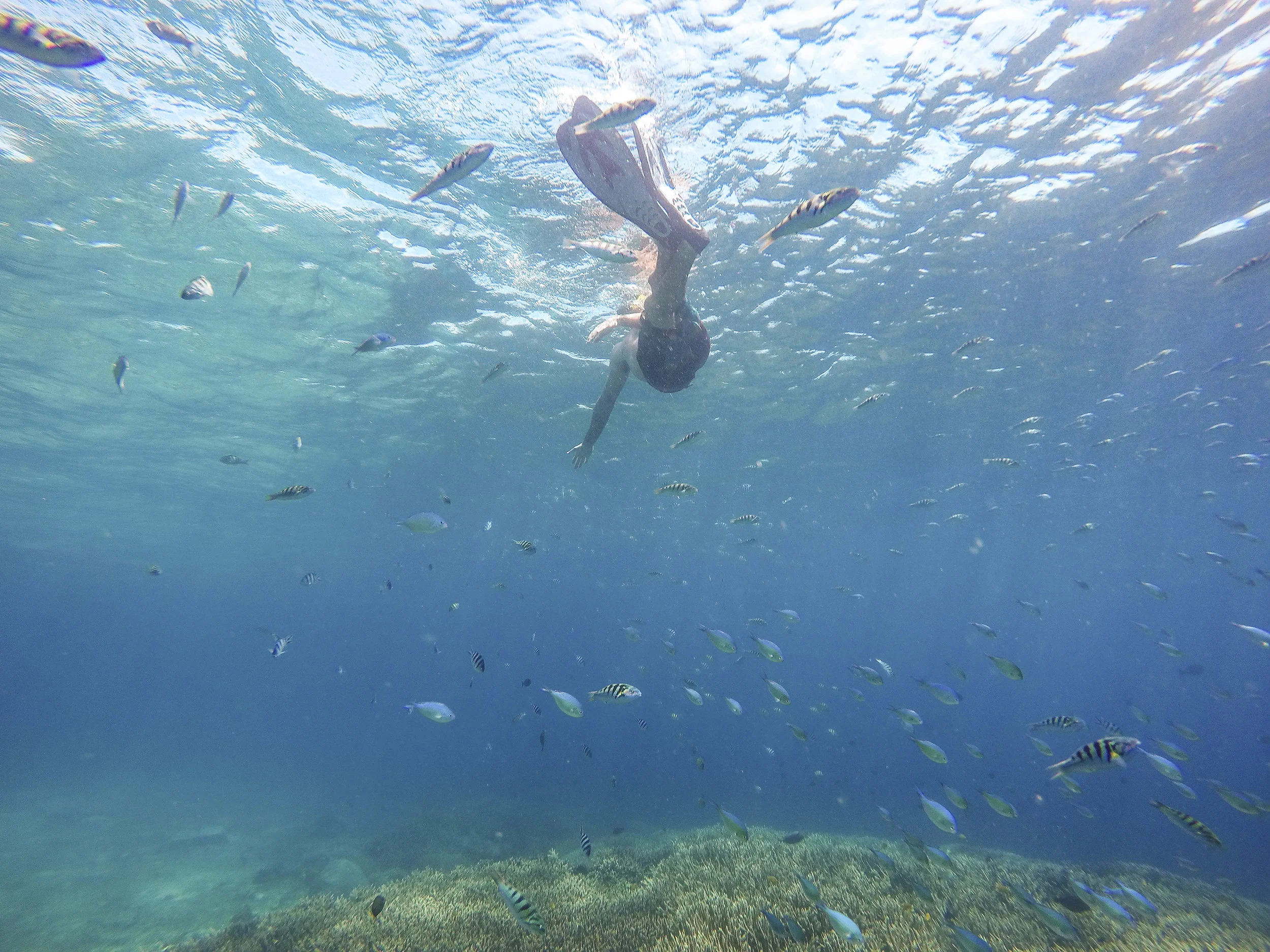 ceningan-wall-snorkeling-nusa-penida.jpg