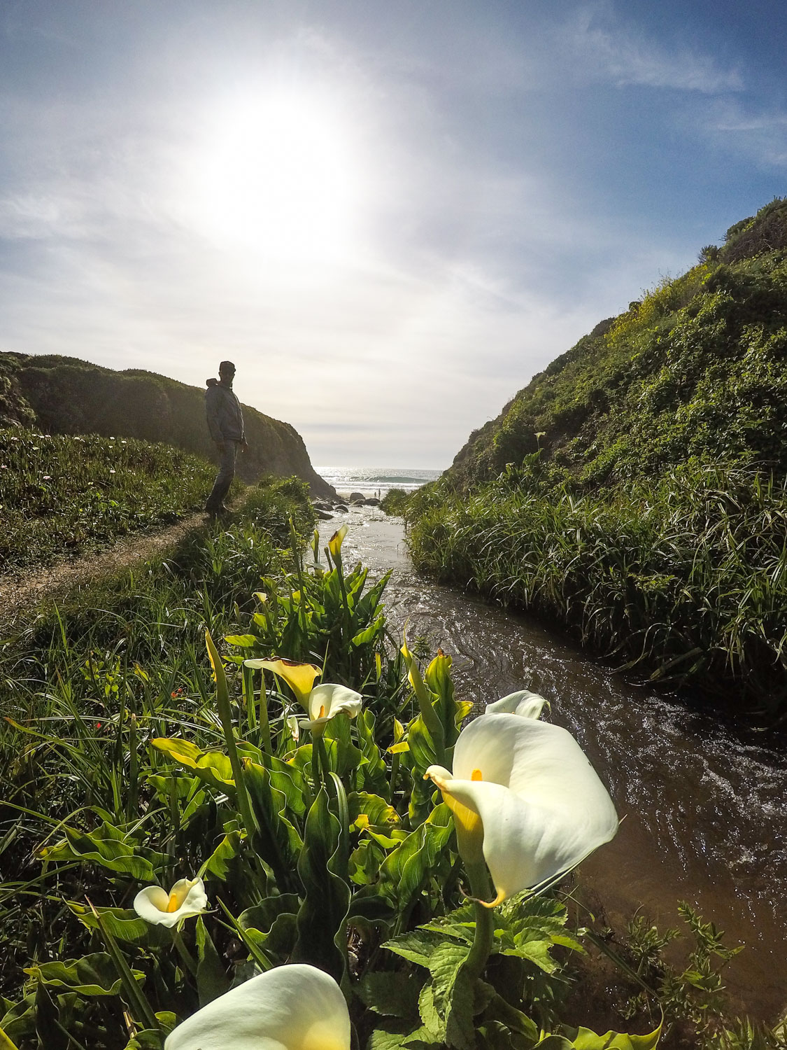 Calla Lily Valley & Garrapata Beach — Big Sur, CA — Backcountrycow ...