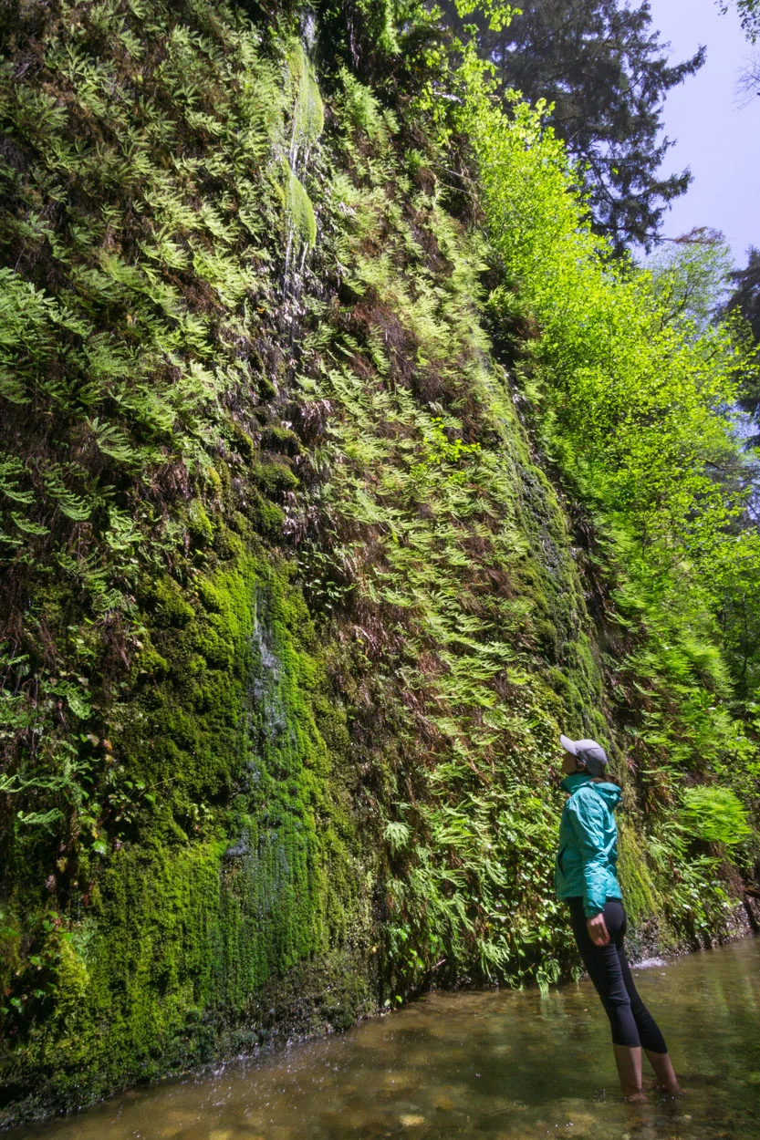 Lots of water cascading down the canyon walls in the spring time