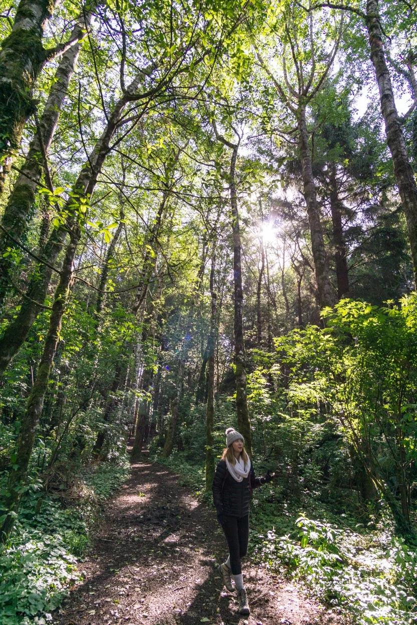 short-northern-california-hikes-humboldt.jpg