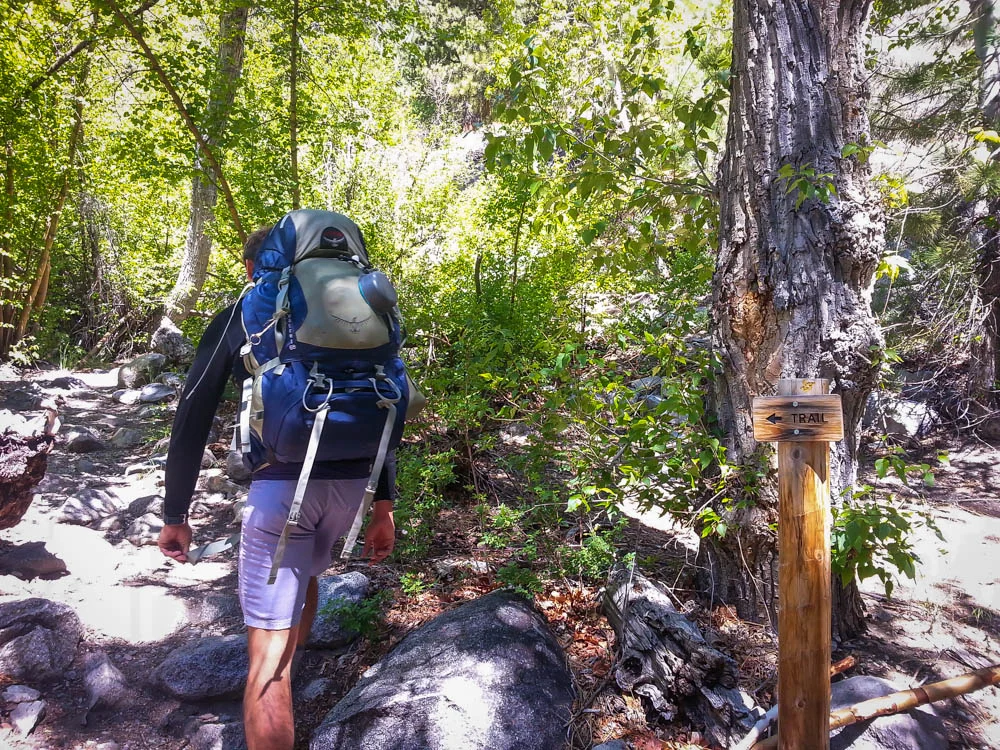 Setting off on the lush section of the trail