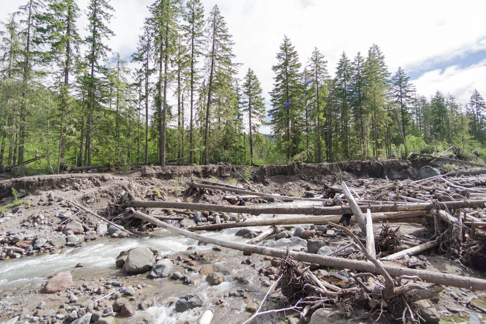 One of the several log options to cross the river