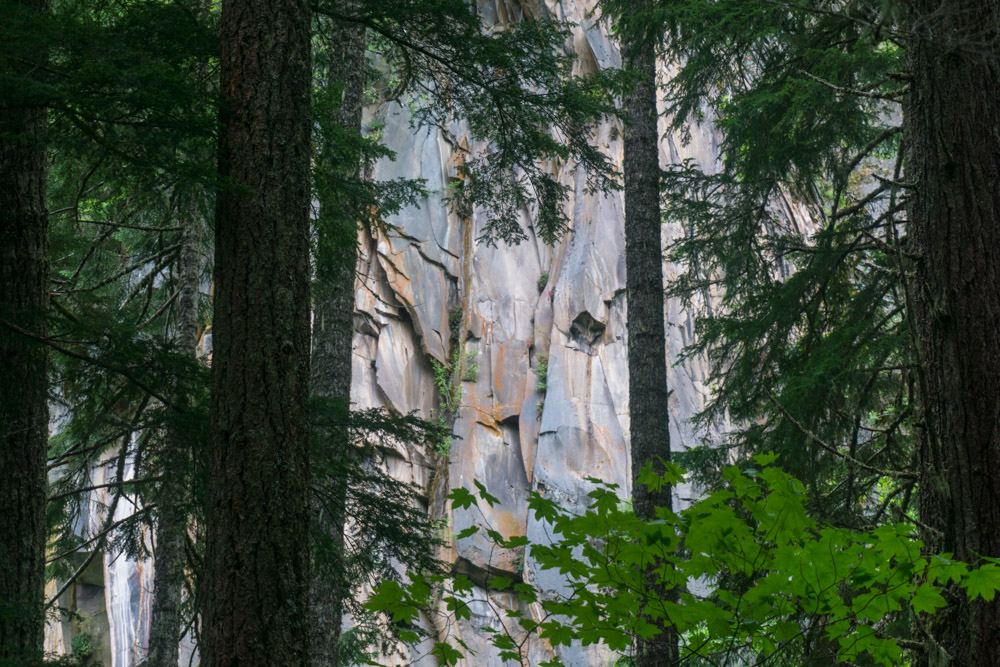 Getting a glimpse of the colorful rock wall towering above through the trees