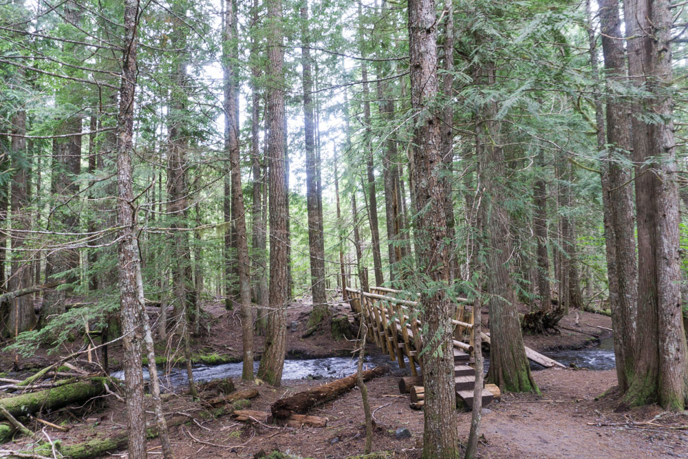 Reaching a charming wooden bridge