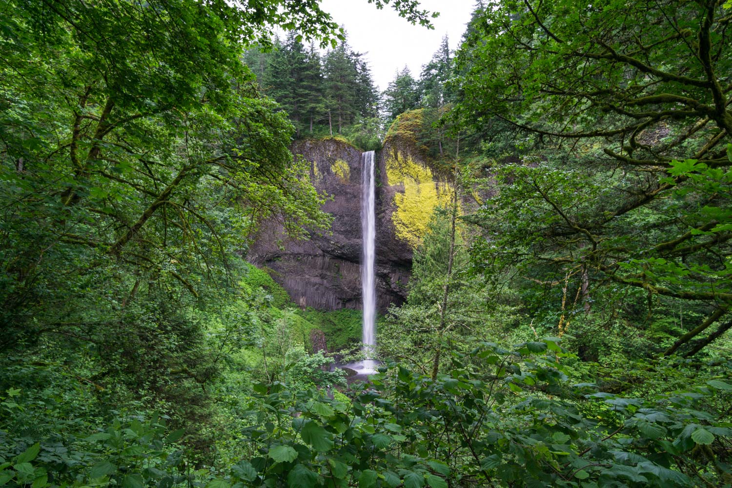 A perfectly-framed view of Lower Latourell Falls