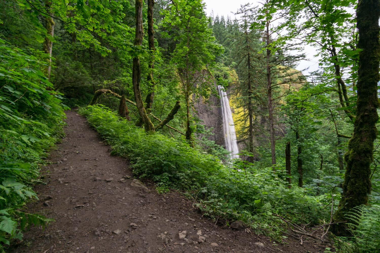 The trail climbing towards the top of the falls