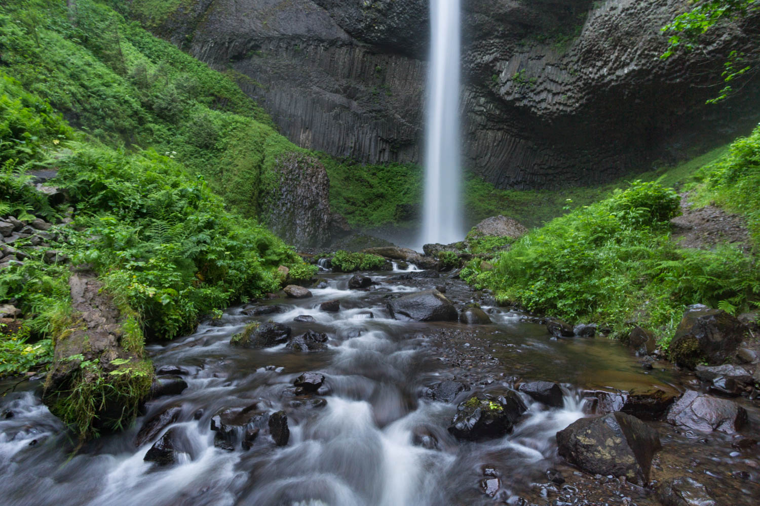 latourell-falls-hike-02102.jpg