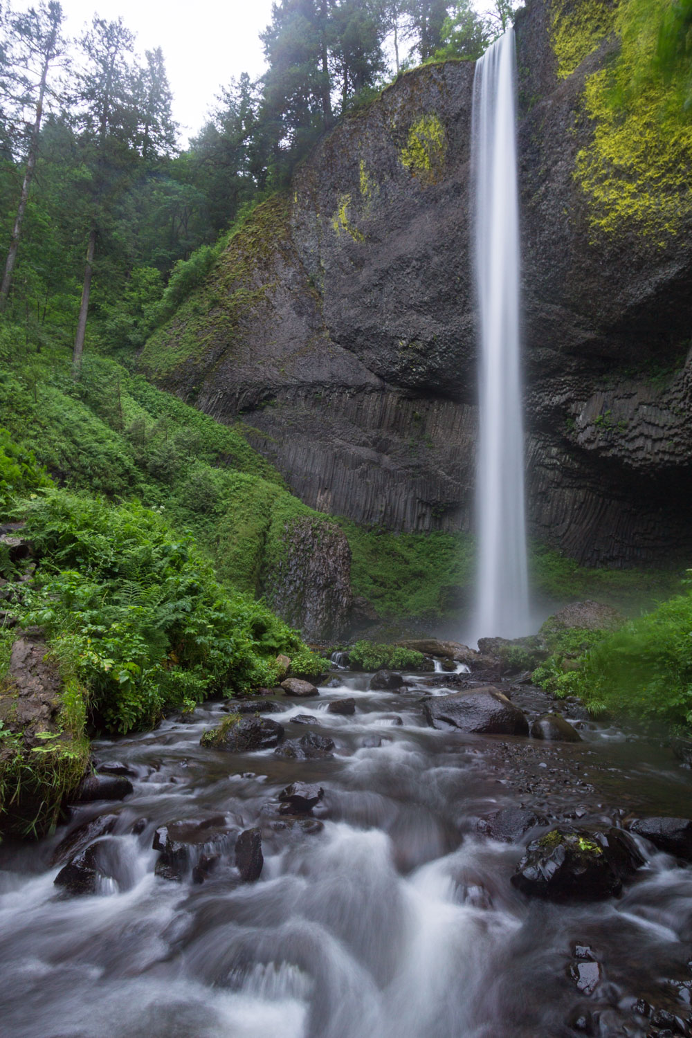 latourell-falls-hike-02105.jpg