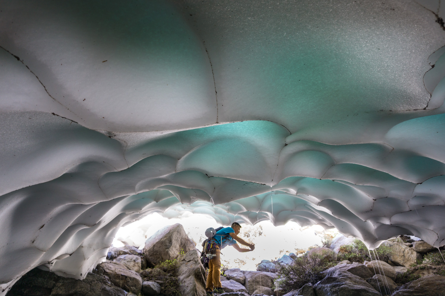 Cooling off in the refrigerated chamber