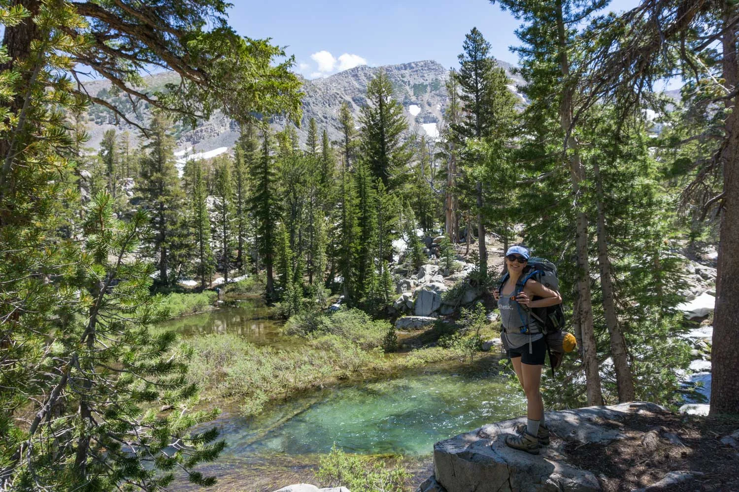 Stopping to cool off by the overflowing creek