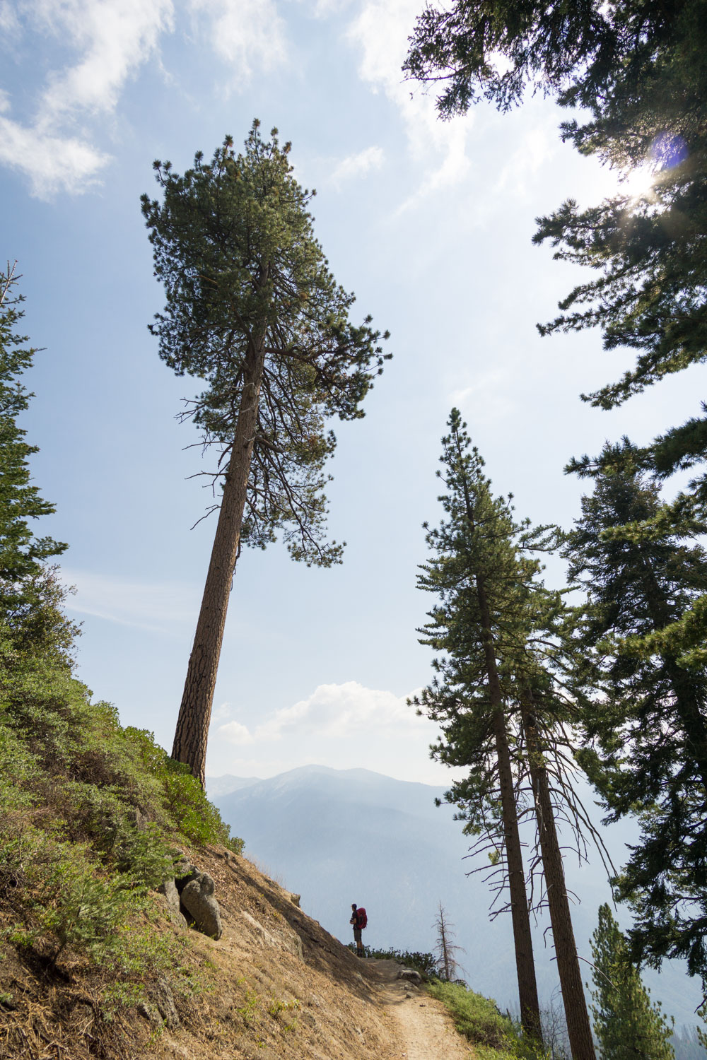 7 day backpacking trip on the high sierra trail, ca