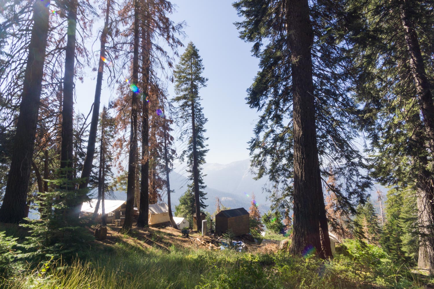 Bearpaw high sierra camp from crescent meadow