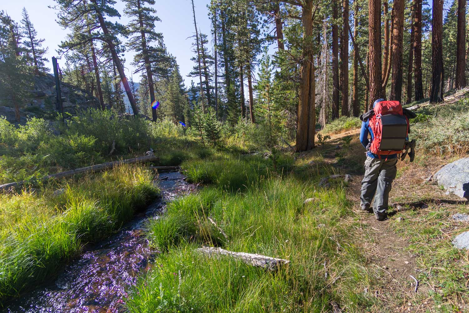 Hiking a long the small creek