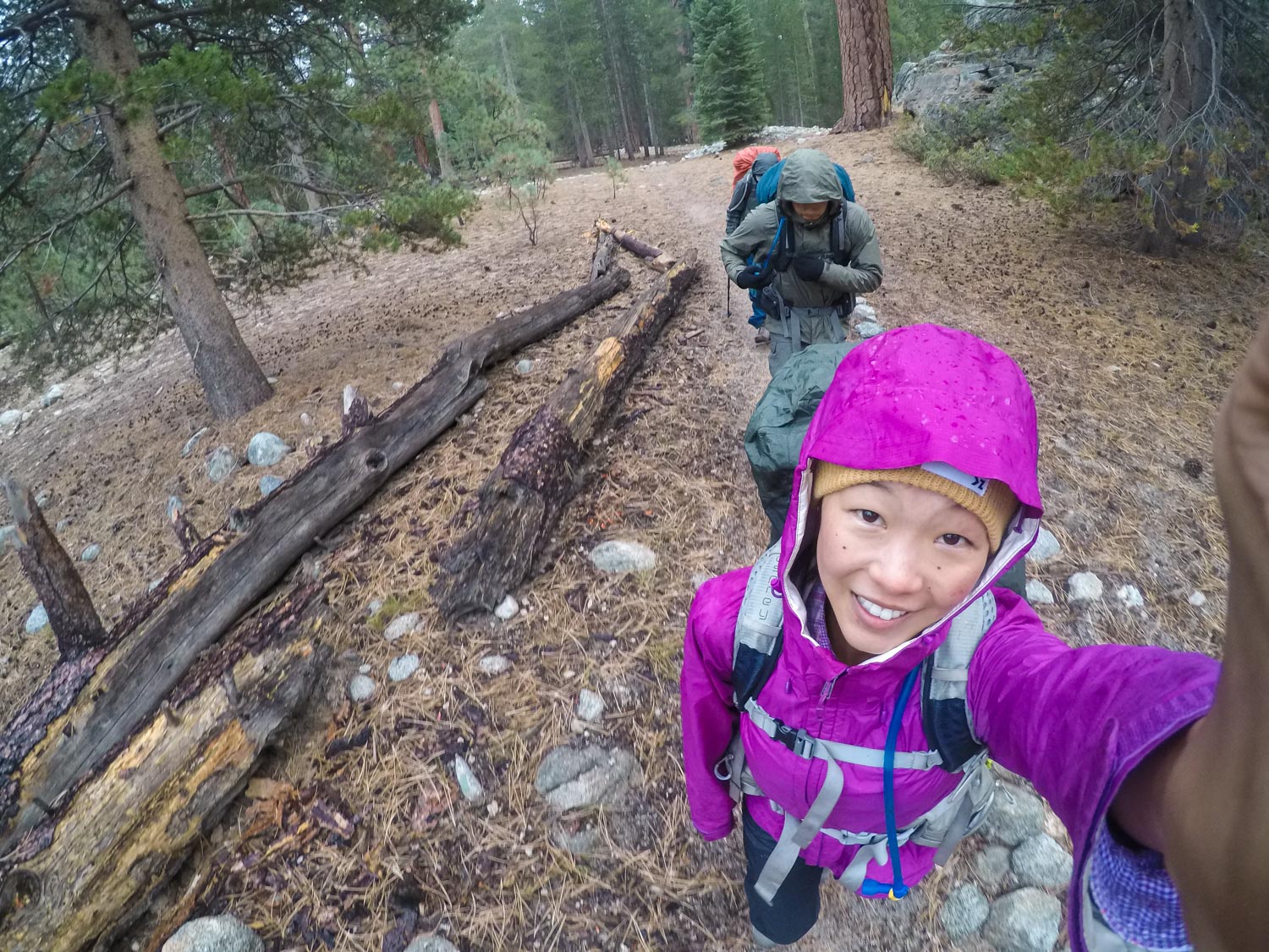 backpacking junction meadow on the high sierra trail