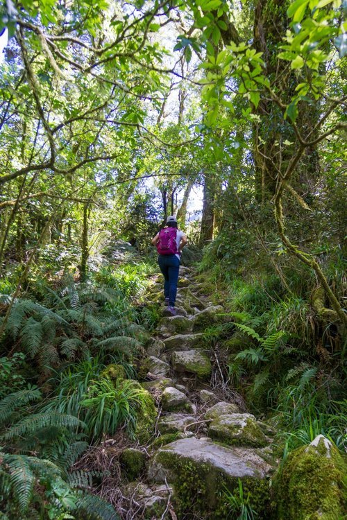 favorite dayhikes on south island new zealand