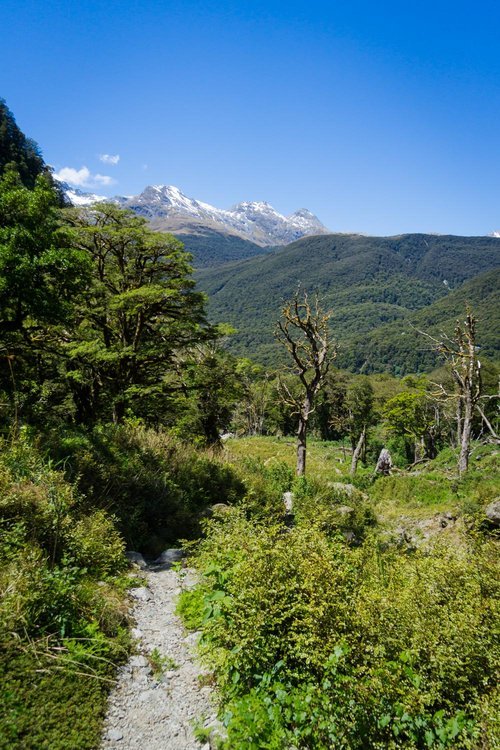 lake marian track near milford sound new zealand