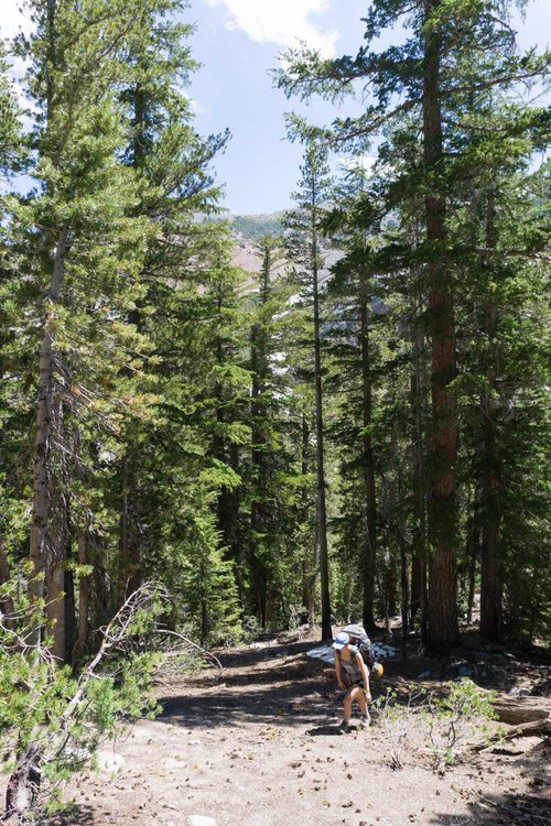 Making our way back to the main trail