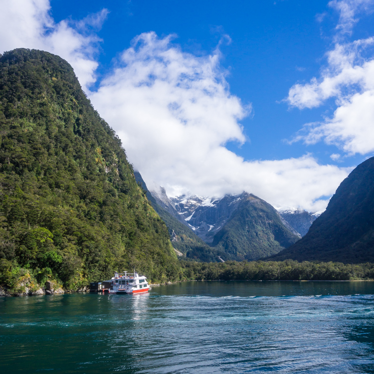 Milford sound cruise was a highlight of our trip