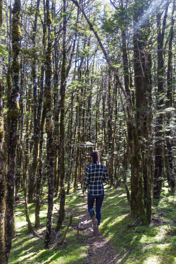 arthurs pass favorite hikes