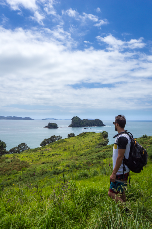 Hiking in Te Whanganui-A-Hei marine reserve