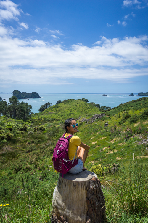 Photographing the coromandel peninsula coast