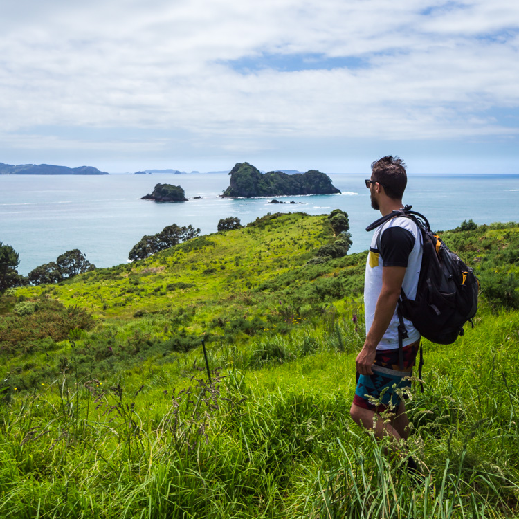 coromandel coast favorite things to do in new zealand