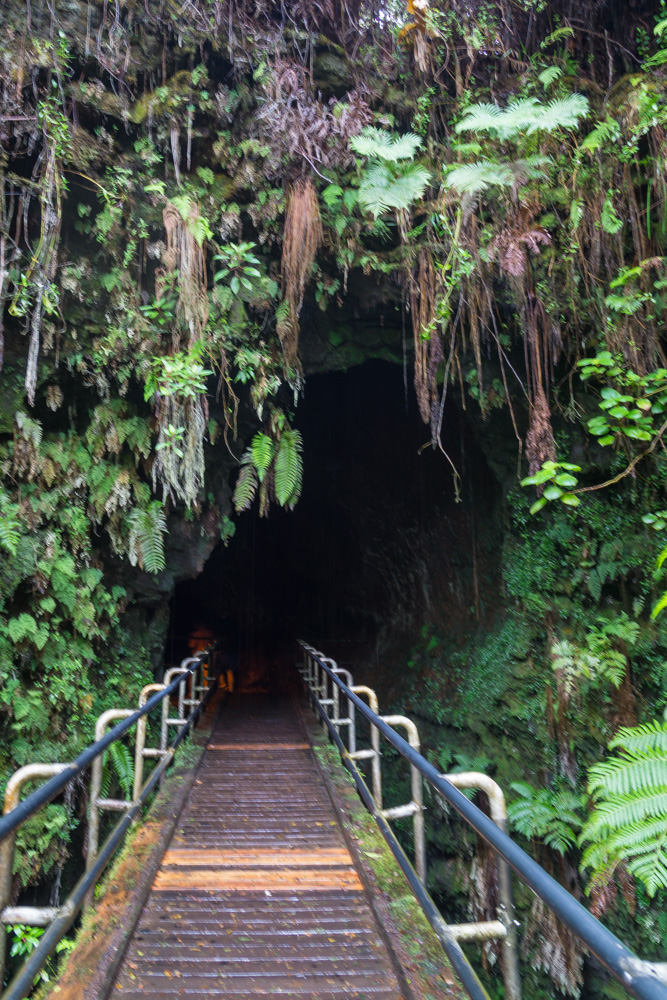 volcanoes-national-park-08253.jpg