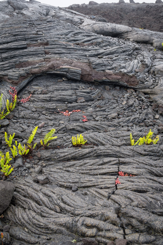 Ropey lava rock textures