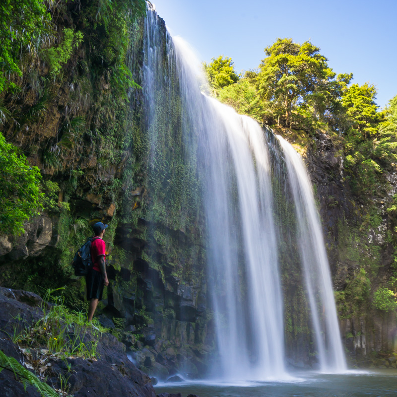 favorite north island new zealand waterfalls