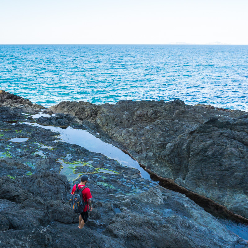 Mermaid pools in new zealand