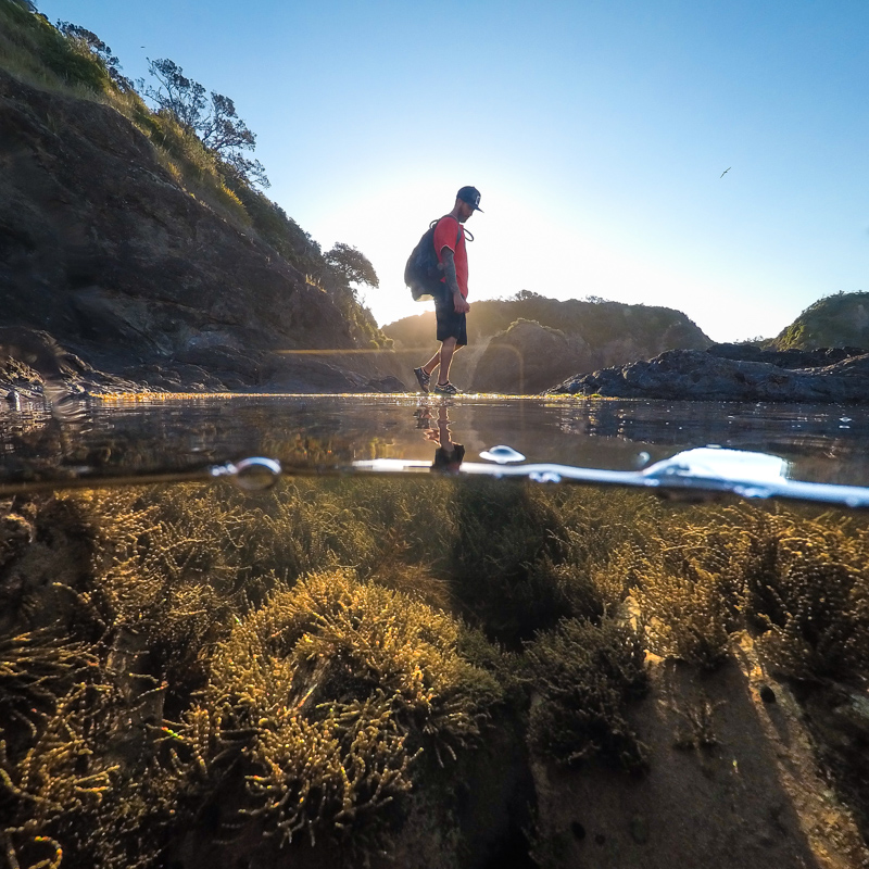 Tide pooling at mermaid pools in Matapouri