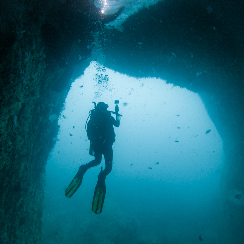 diving poor knights island