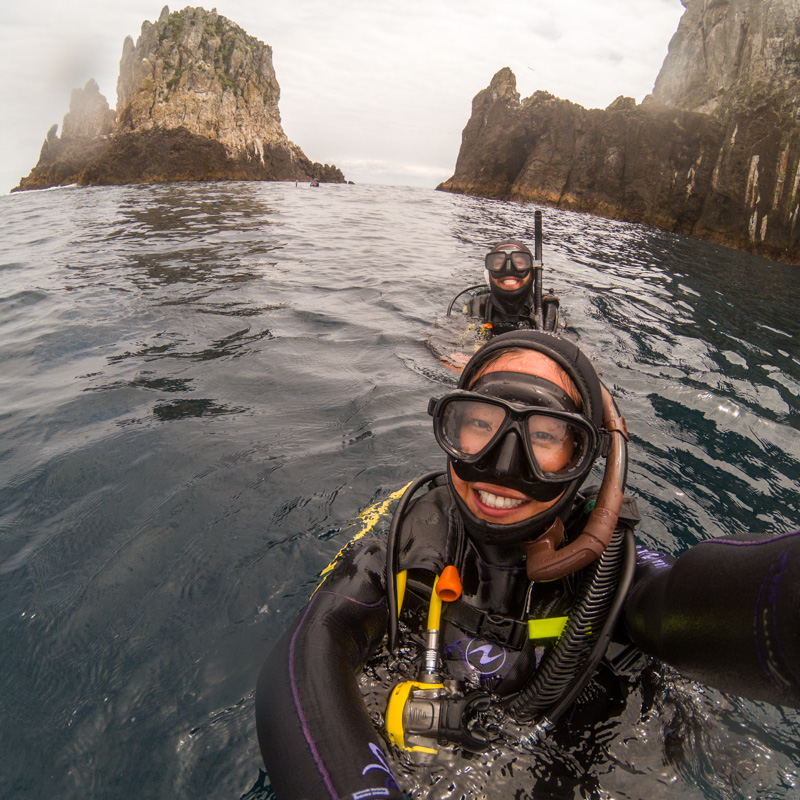 diving the pinnacles at poor knights island