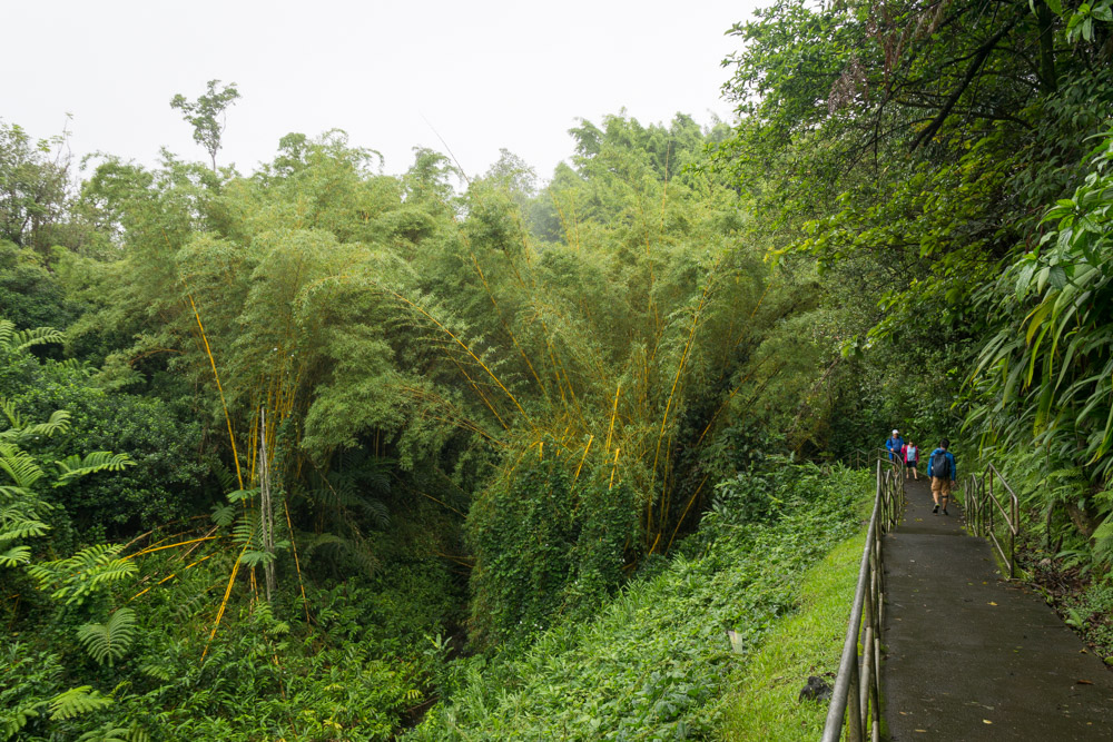 Short day hikes near Hilo