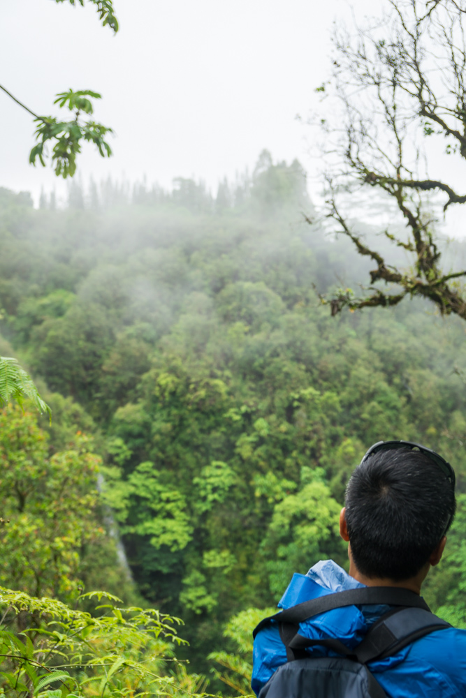 Looking at Hakuna Falls in the distance