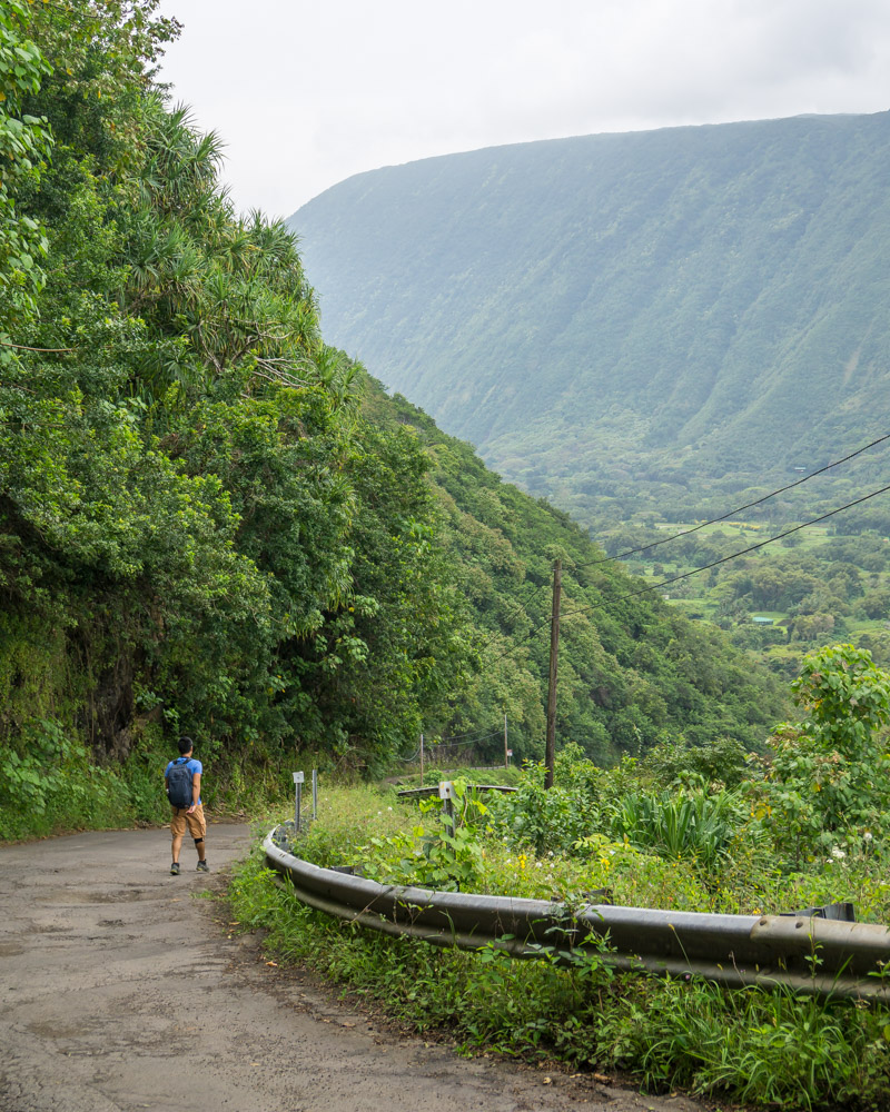 Day hikes on big island hawaii