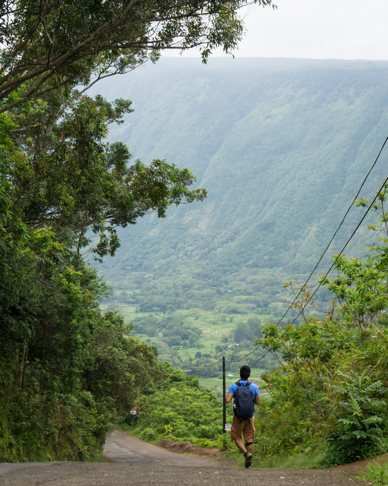 Best day hikes in Hawaii