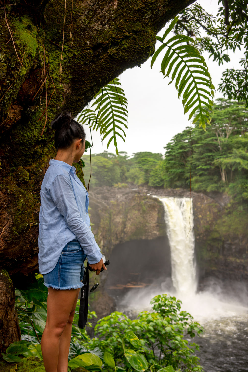 Rainbow falls hike big island